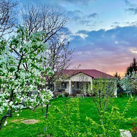 One Dom Cottage Gabala Bagian luar foto