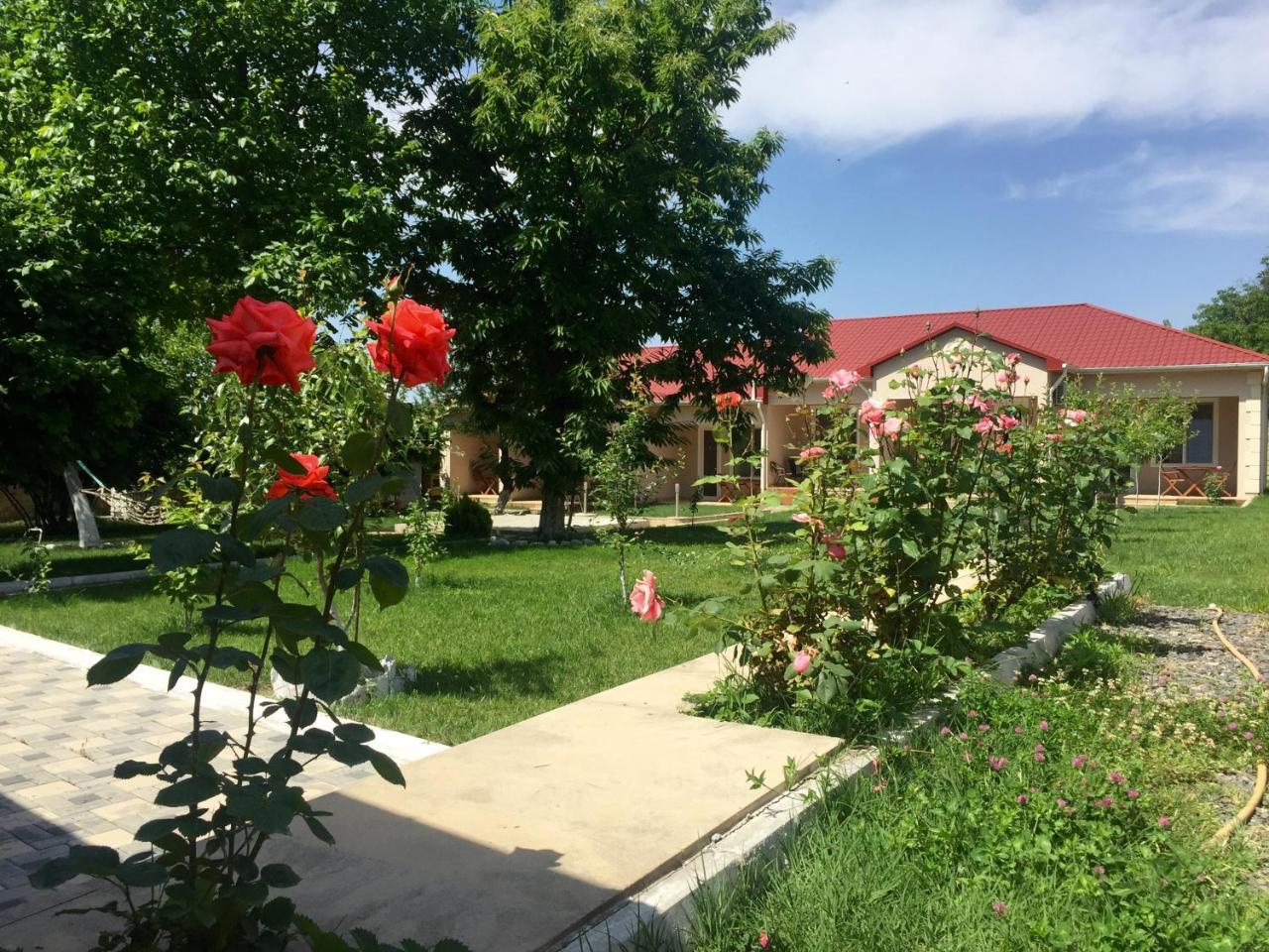 One Dom Cottage Gabala Bagian luar foto