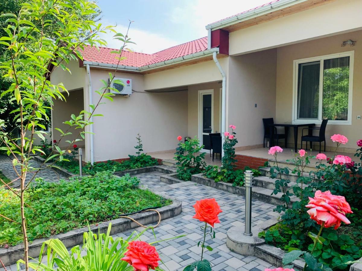 One Dom Cottage Gabala Bagian luar foto
