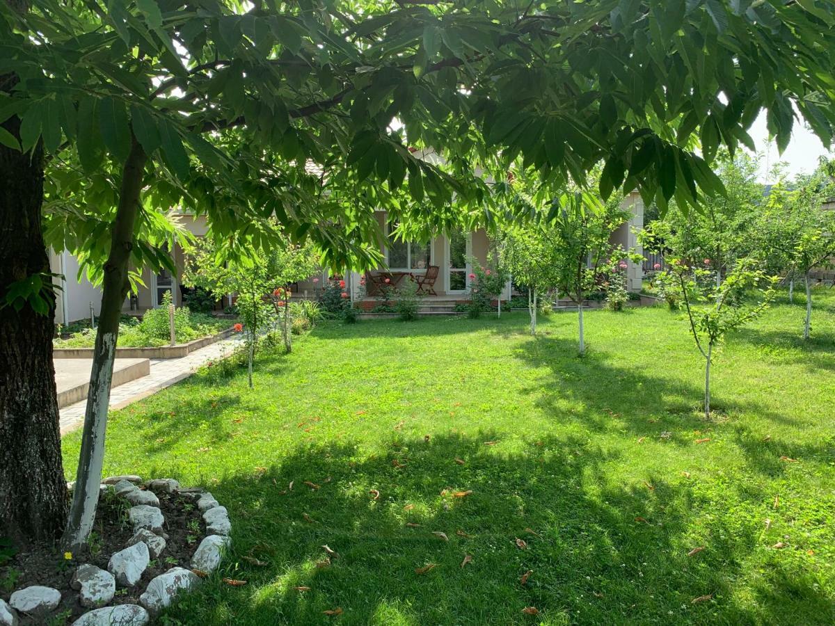 One Dom Cottage Gabala Bagian luar foto