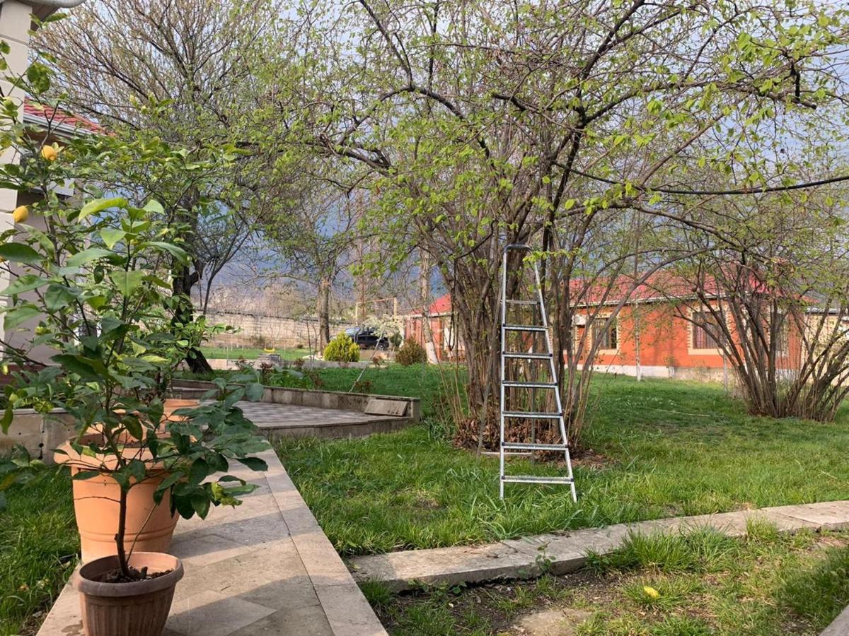 One Dom Cottage Gabala Bagian luar foto